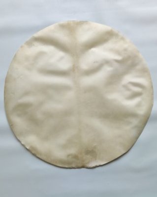 Rasiertes dünnes Djembe Elchfell XL