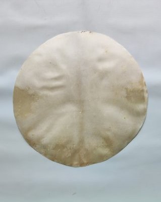 Rasiertes halbdickes Djembe Elchfell M