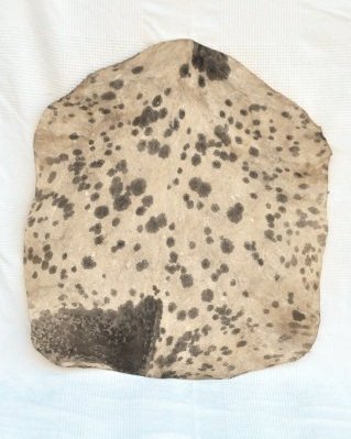 Geflecktes weißes Djembe Ziegenfell Sahel dickes