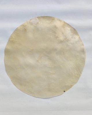 Sehr dünnes Djembe Pferdefell ohne Haar L