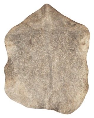 Gesprenkeltes braunes Djembe Ziegenfell Sahel sehr dickes