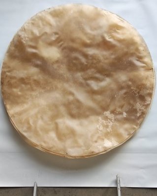 Halbdickes Trommel Kuh- / Rinder- Fell ohne Haar XXL