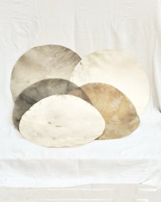 Paket 5 deklassierte rasierte Djembe Trommel Hirschfelle XL