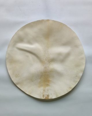 Rasiertes sehr dickes Djembe Elchfell M