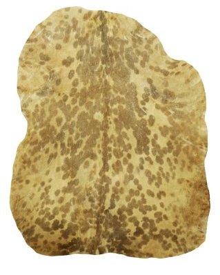 Geflecktes weißes Djembe Ziegenfell Sahel dünnes