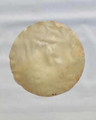 Dünnes Djembe Pferdefell ohne Haar M