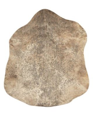 Gesprenkeltes braunes Djembe Ziegenfell Sahel dickes