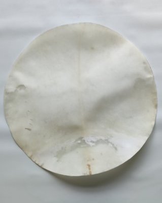 Rasiertes halbdickes Djembe Elchfell XL