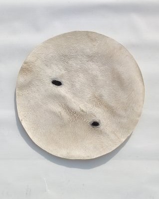 Dünnes Djembe Eselfell mit Haaren M