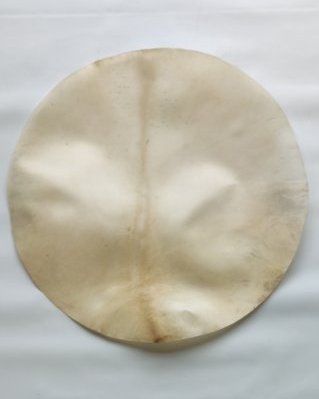 Rasiertes sehr dickes Djembe Elchfell XL